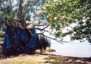 11 fishing nets drying