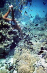 31 Coral Garden Bora Bora