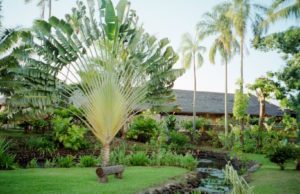 33 Royal Tahitian gardens