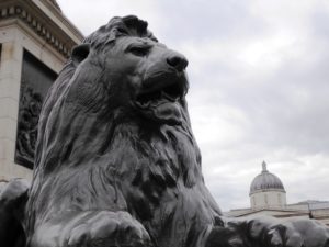 55 513 Barbary lion Trafalgar Square