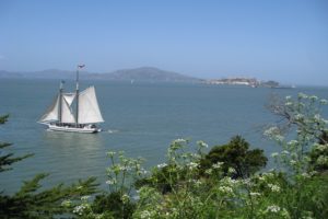 sanfranC 795 sailboat & Alcatraz